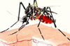 Dakshina Kannada District may house new dengue strain